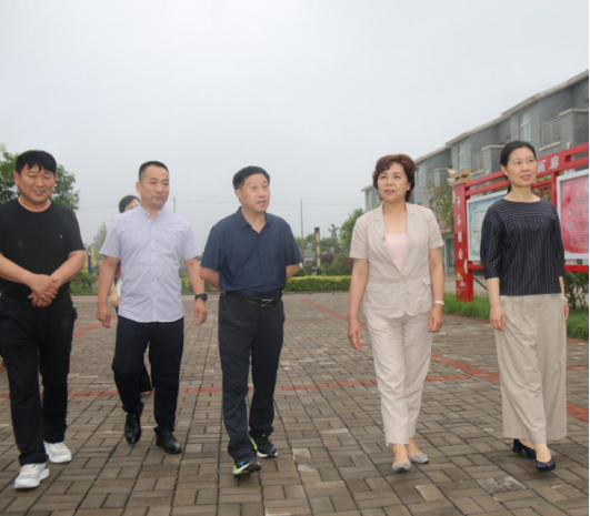 汝州市望嵩小学_九峰山研学博物馆科普建设_汝州市科普教育基地