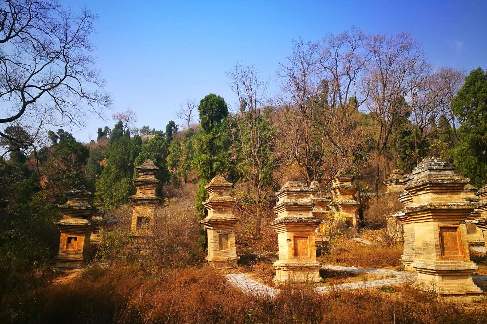 汝州市-风穴寺-下塔林，也是风穴寺最大的一个塔林，现存62座古塔，1个墓碑和1土冢.jpg