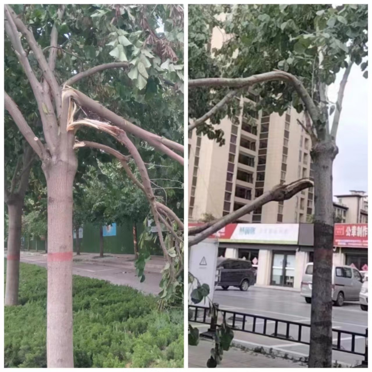 微信图片_20240516162747.jpg