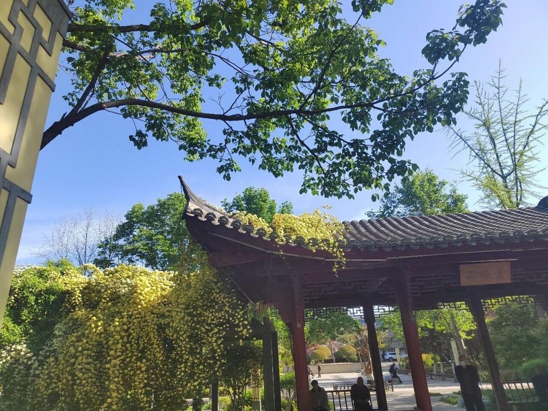 d8e95f7df1c8313c057ab7da21e53258