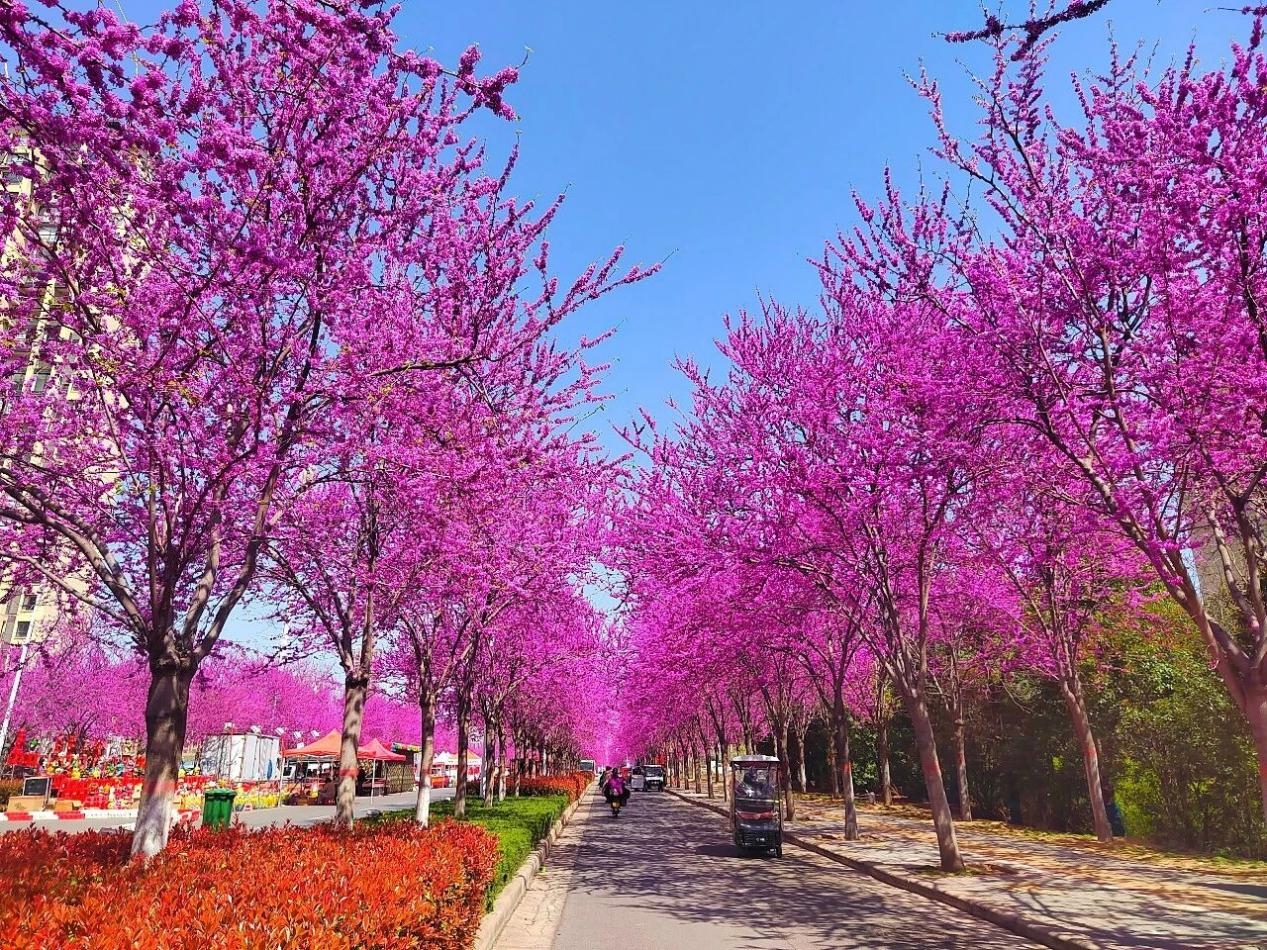 75d1f46c1be04544f231ccf3272f5f55