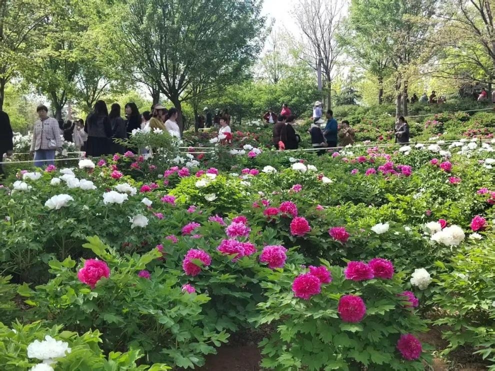 cc7291fb30720e8f4d8ea187d9c63a5a